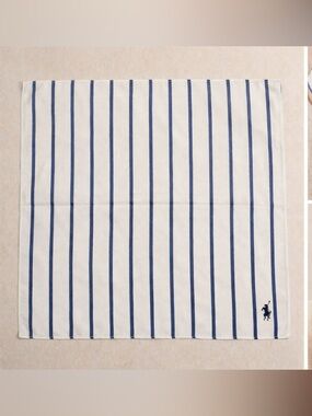 Ralph Lauren Striped Cotton Neck Tie Scarf